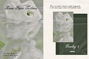 Xuan Paper Textures & PNG Overlays, a Texture Graphic by Purple (Thumbnail 3 of 19)