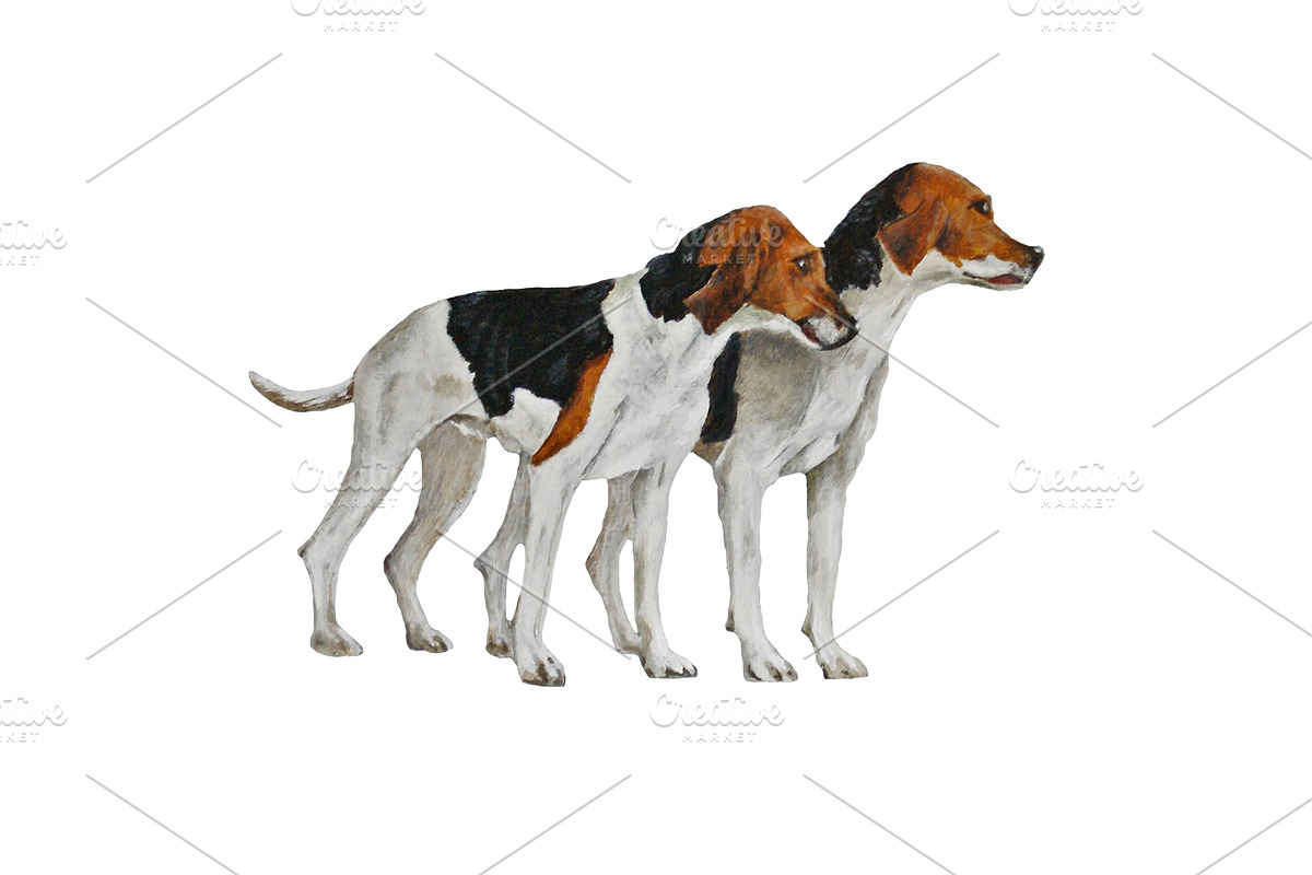 Fox Hound Dog Oil Painting Clip-art, an Animal Illustration by Doggy Days