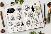 Sketch Set of Trees and Bushes., a Graphic by Epine (Thumbnail 1 of 3)