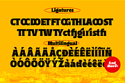 Kogah, a Serif Font by Differentialtype (Thumbnail 6 of 7)