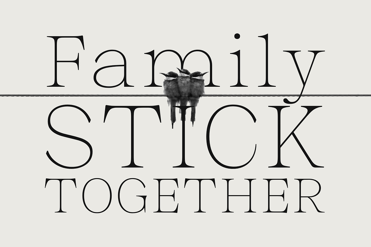 Malvera, a Serif Font by Black Studio (Photo 11 of 16)