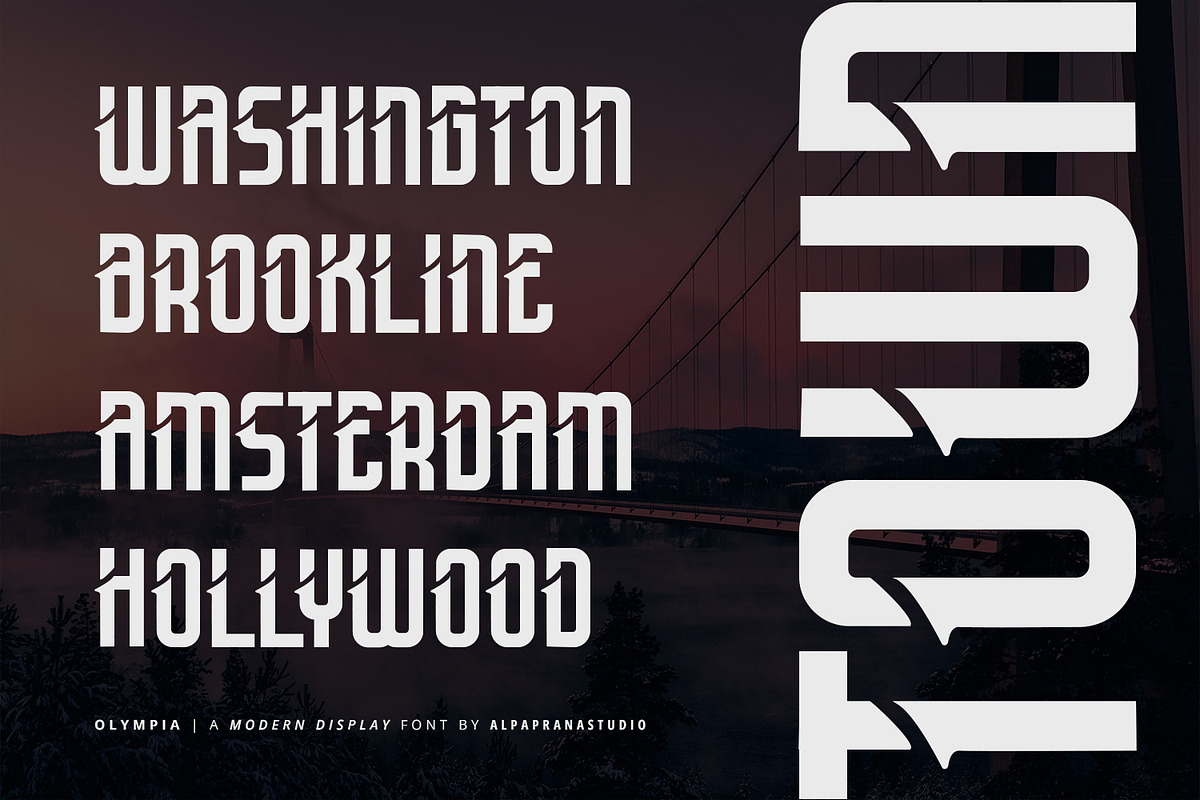 Olympia - Modern Display Font, a Script Font by Alpaprana (Photo 9 of 12)