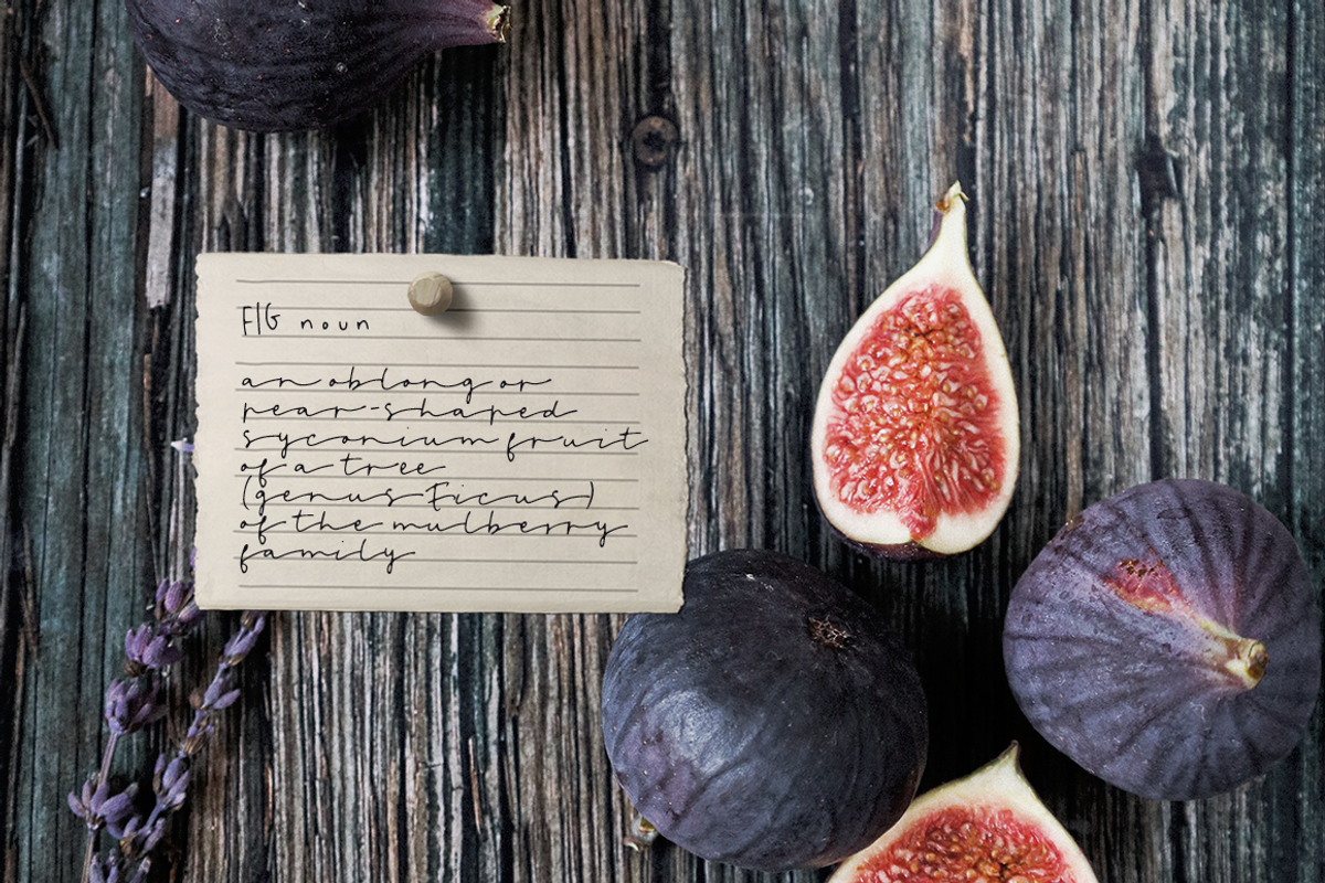 Leaves and Twigs font trio & extras, a Script Font by Ana's Fonts (Photo 2 of 17)