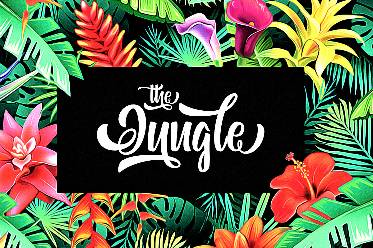 Bohemian Melody, a Script Font by Allmostudio (Photo 2 of 9)