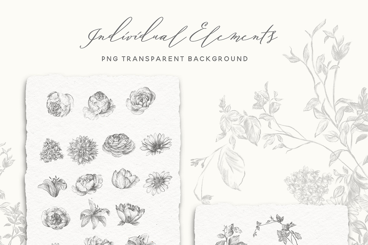 Pencil Sketch Flowers Clipart, an Illustration by BlumenSoul (Photo 7 of 11)