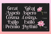 Sobotia - Playful Serif family, a Serif Font by creativemedialab (Thumbnail 7 of 10)