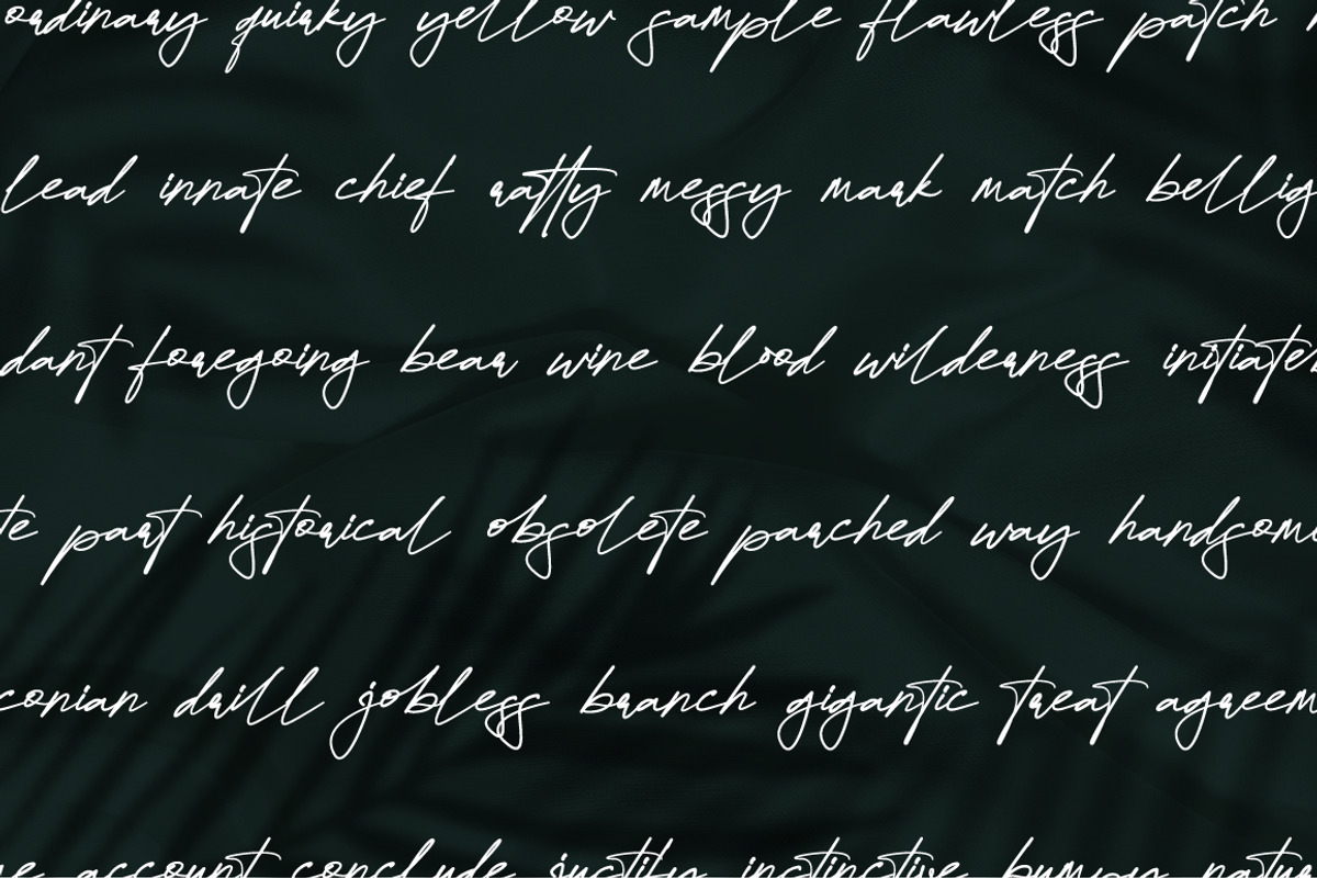Dellany Signature Business Font, a Script Font by KennedyStudio (Photo 4 of 9)
