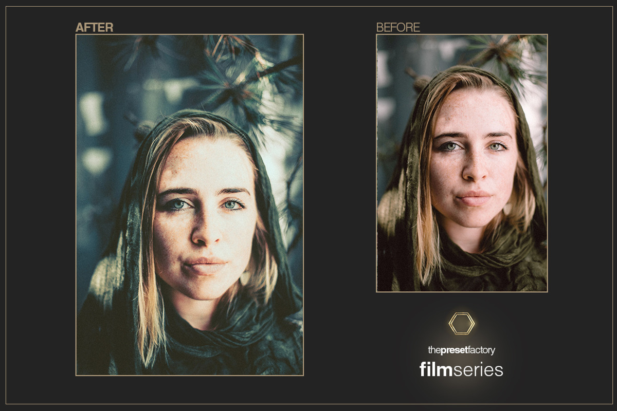 Film Series - Lightroom & PS ACR, a Plug-in Add-On by The Preset Factory Ltd. (Photo 6 of 11)