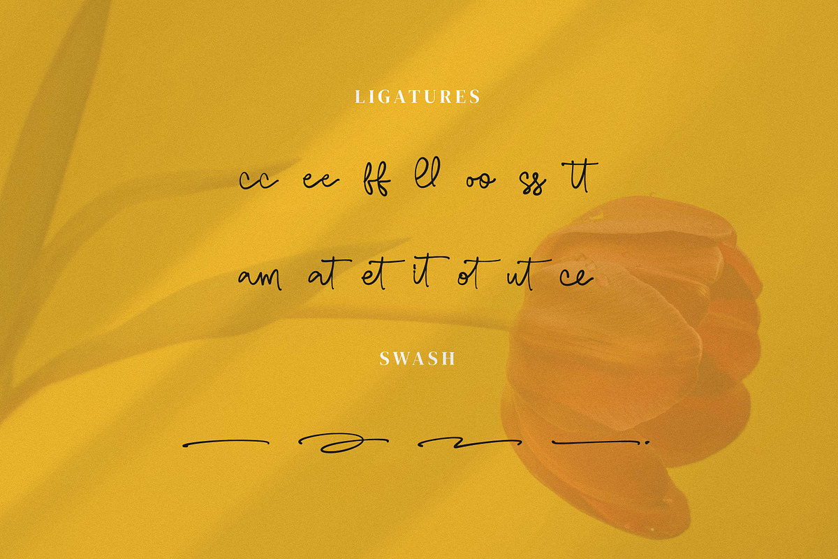 Resmaulli, a Handwritten Font by Integritype Studio (Photo 11 of 15)