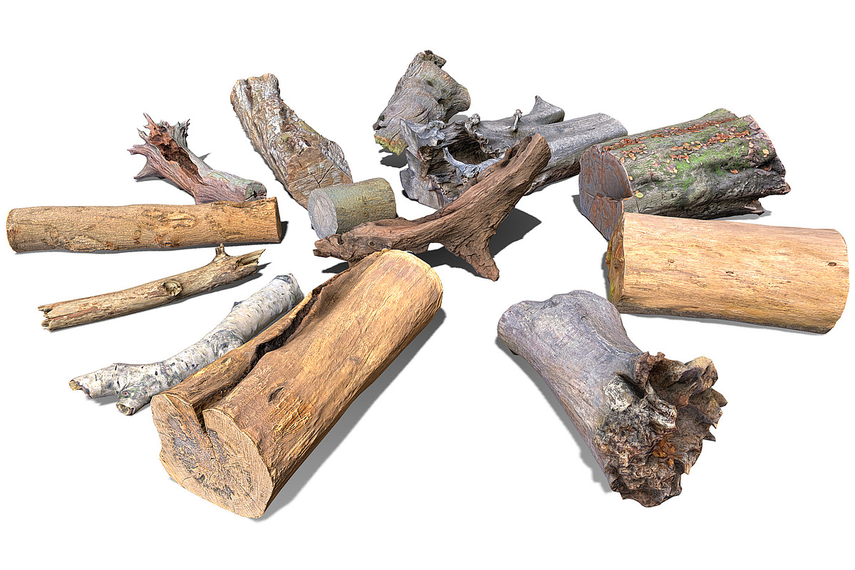 13 Tree Logs, an Environmental 3D Model by Beatheart Creative Studio (Photo 14 of 37)