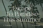 Agista Display - A Classic Serif, a Serif Font by Marvadesign (Thumbnail 4 of 7)