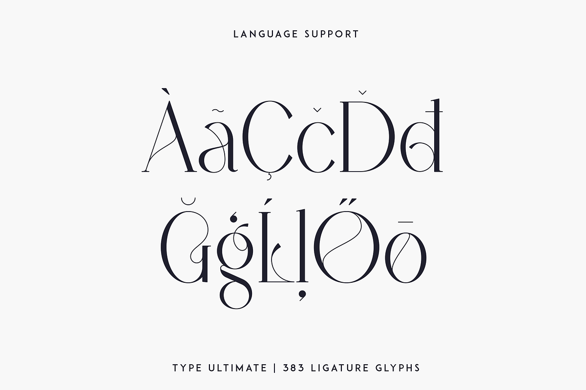 Type Ultimate - serif logo font, a Serif Font by VP Fonts (Photo 14 of 24)