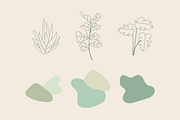 Minimalist Plants - Illustrations, an Illustration by naima.design (Thumbnail 5 of 5)