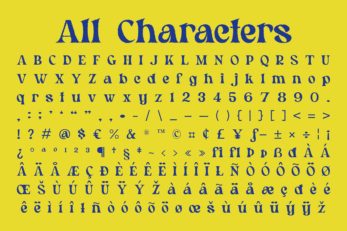 Rantys Rough, a Serif Font by Craft Supply Co. (Photo 8 of 8)