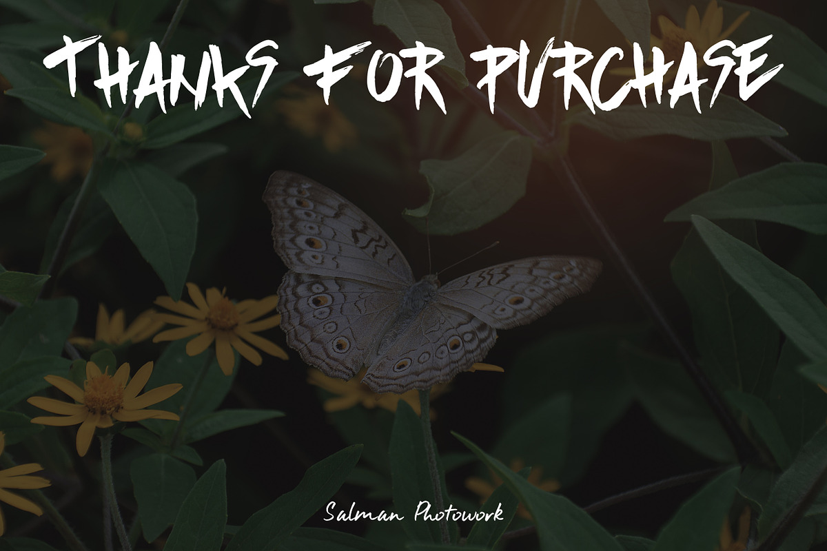 Butterfly Photo Pack, an Object Graphic by Salman Photocreative (Photo 4 of 4)