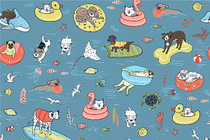 Summer Dogs Sea Adventure