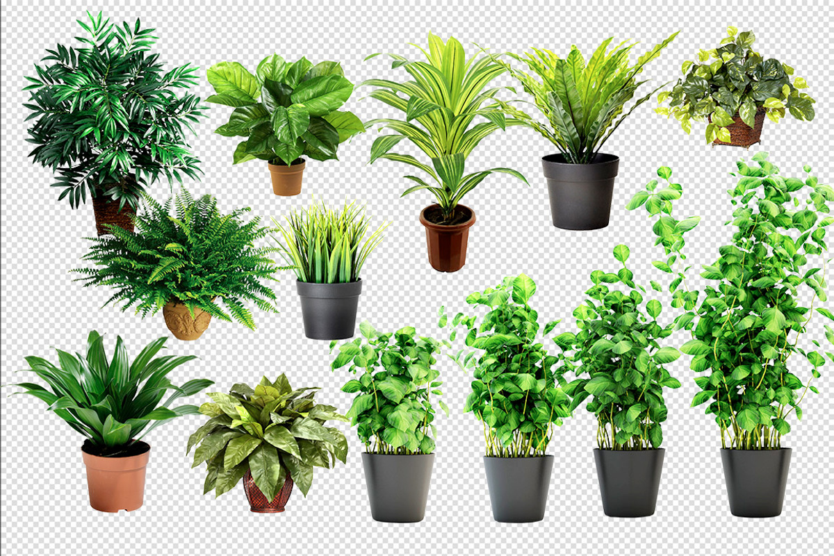 Plant Leaves Foliage Mega Pack, an Object Graphic by Sladedesign (Photo 4 of 5)