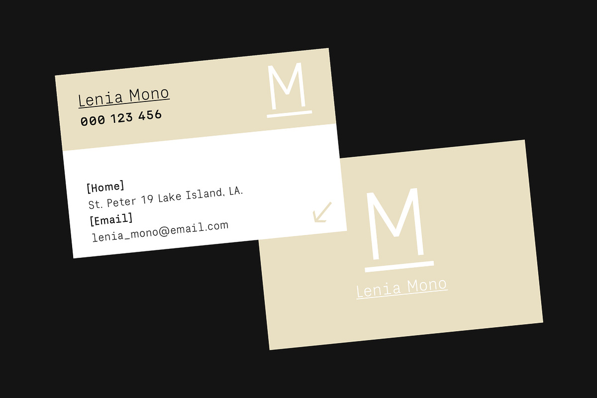 Lenia Mono | Intro 50% OFF, a Sans Serif Font by Lettertype Studio (Photo 4 of 14)
