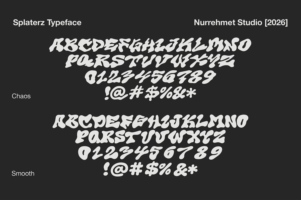 Splaterz NS - Organic Graffiti Font, a Handwritten Font by Nurrehmet Studio (Photo 4 of 8)