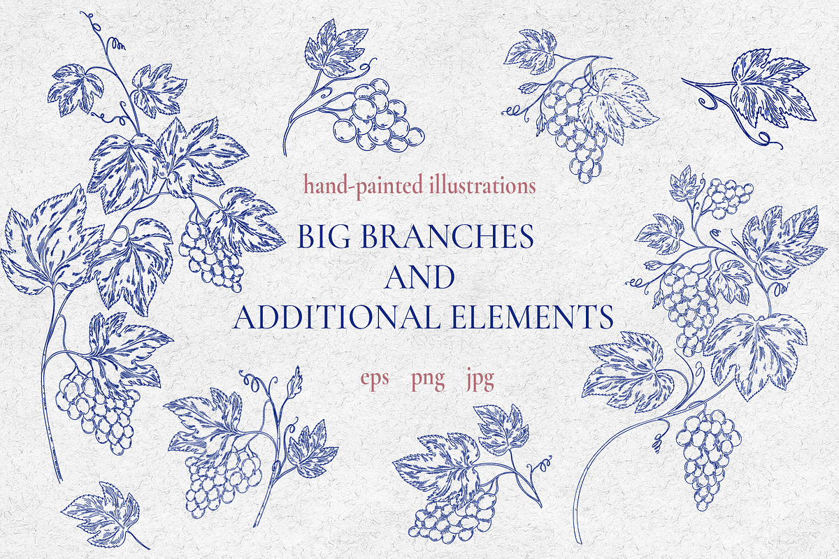 Grape branches&leaves vector clipart, an Object Graphic by Lidia's watercolor world (Photo 3 of 5)