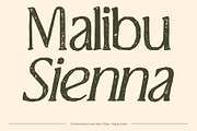 CS Brela Stamp, a Serif Font by Craft Supply Co. (Thumbnail 3 of 8)