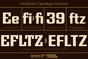Modulate, a Font by Stiggy & Sands (Thumbnail 8 of 9)