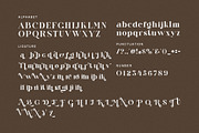 Bolin Dariske Elegant Serif Font, a Serif Font by Perfectype (Thumbnail 6 of 6)
