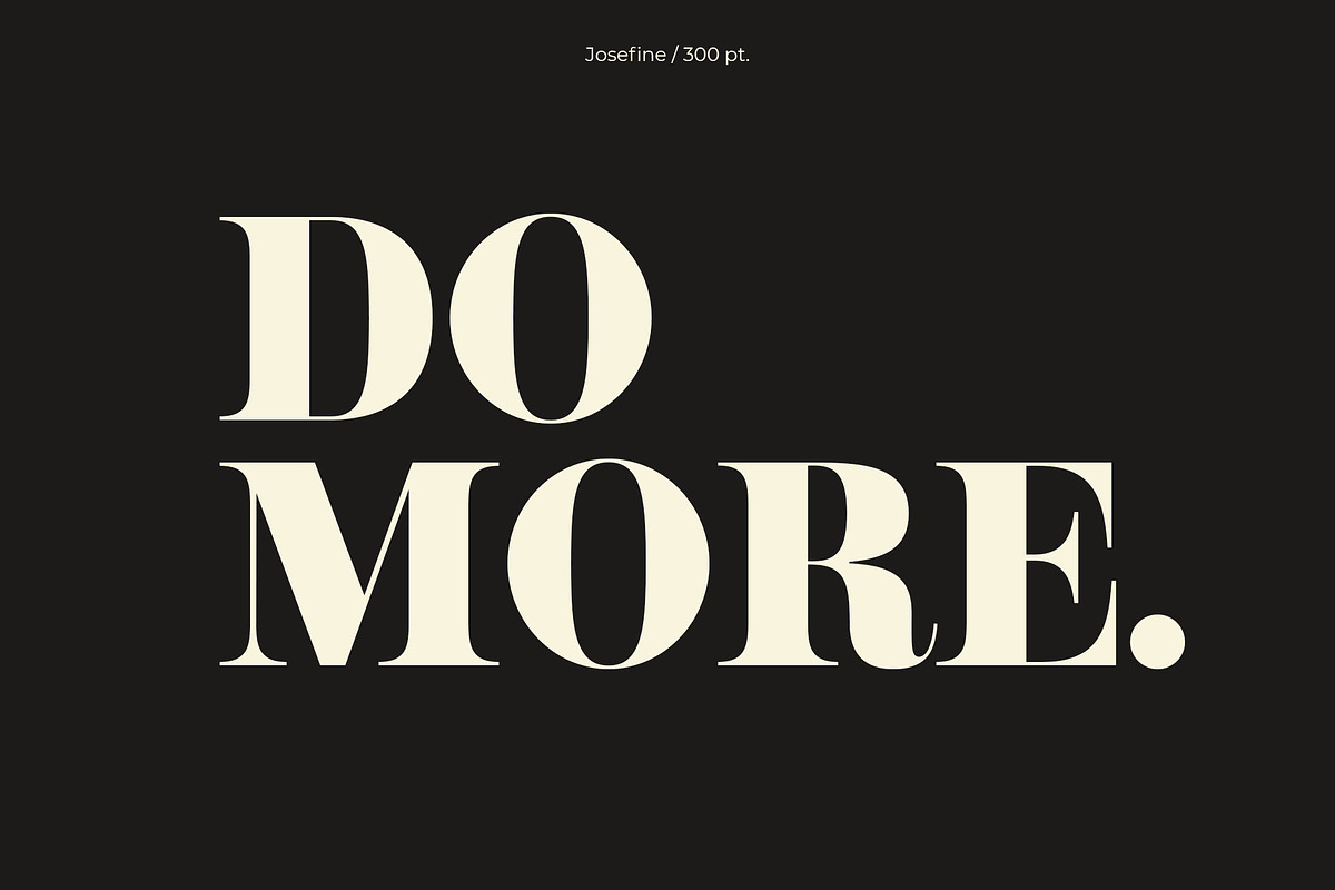 NT Josefine, a Serif Font by nevsky.type (Photo 10 of 15)
