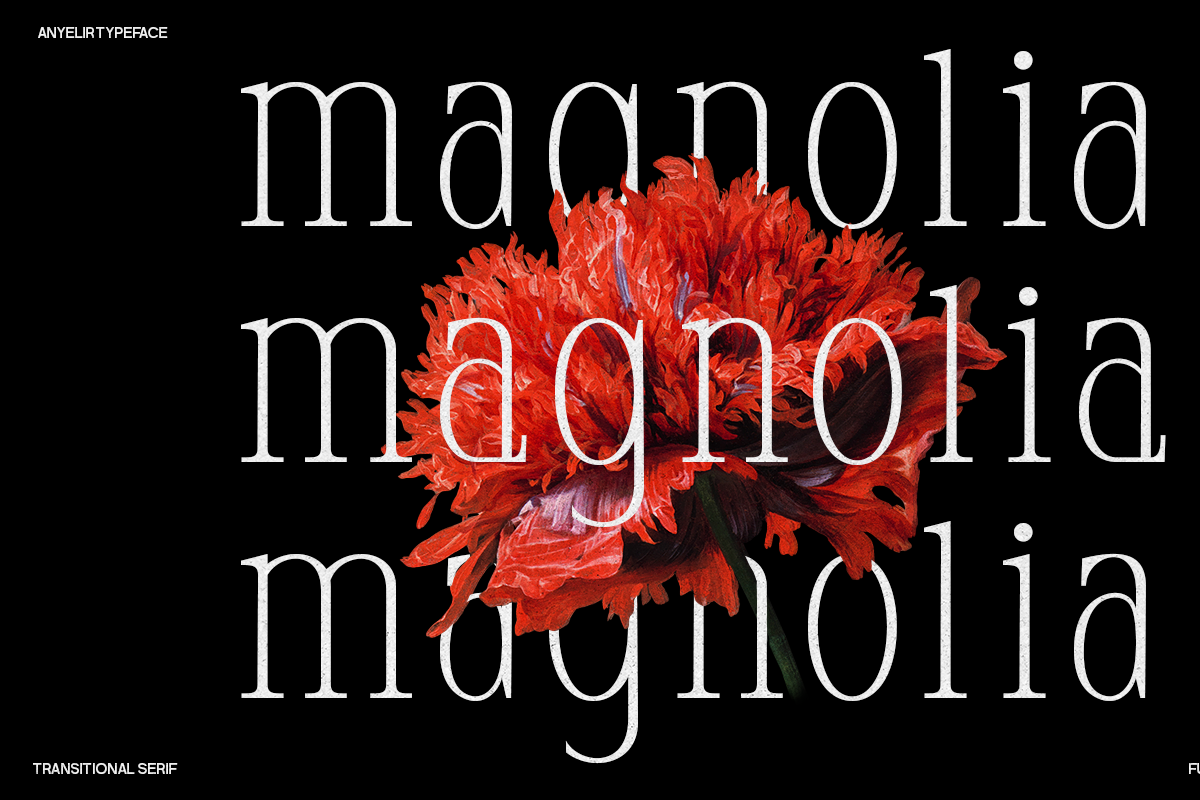 Anyelir Display - Condensed Serif, a Serif Font by Magnolitype (Photo 3 of 21)