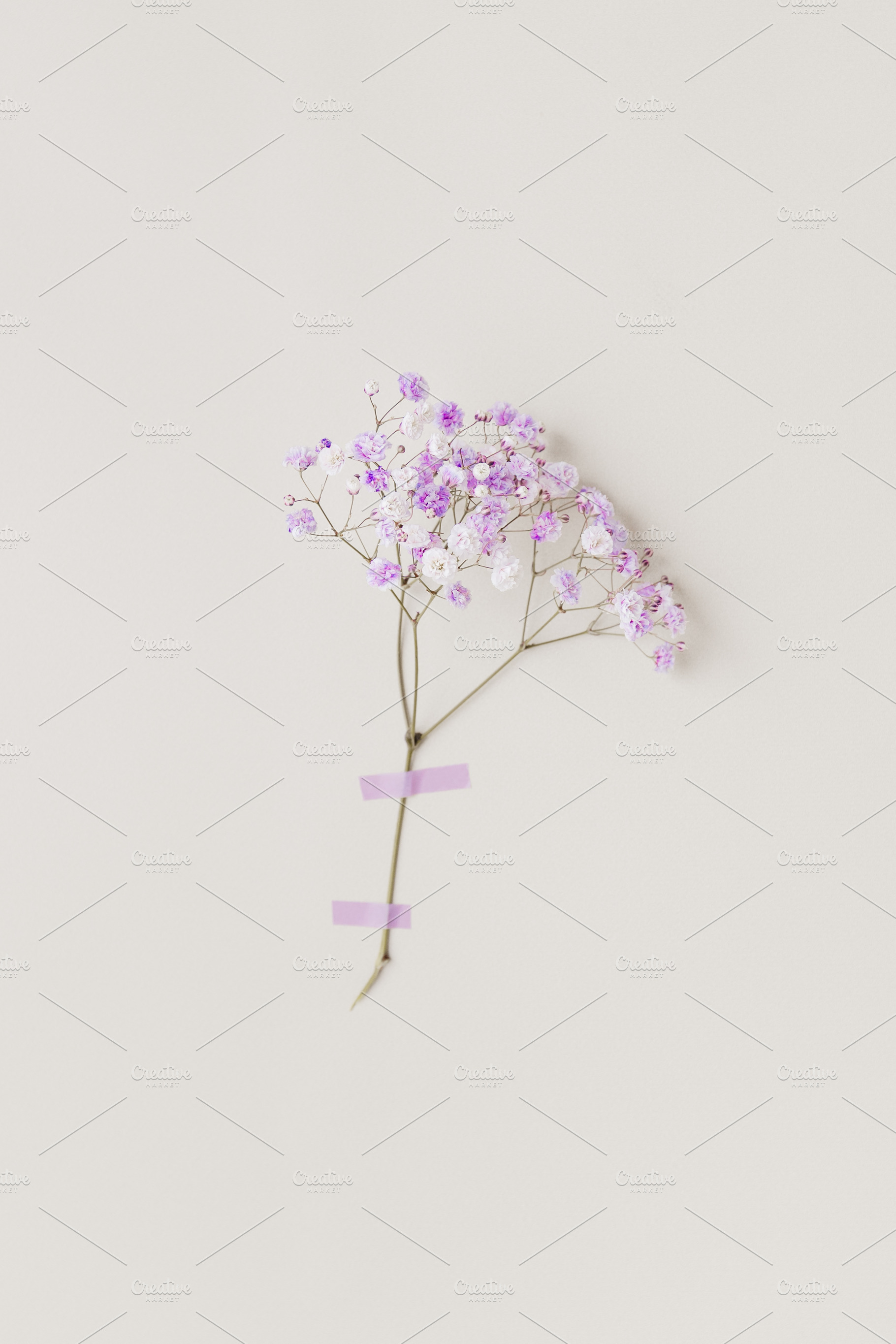Minimal photo from floral series wit, a Background Photo by Edalin's Store