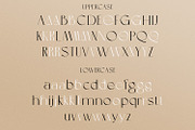 Allegra de Amour - Display, a Sans Serif Font by Typetemp Studio (Thumbnail 20 of 22)