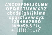 Viscid | Brush Font, a Font by Craft Graphic Type (Thumbnail 6 of 7)
