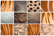 35 Animal Skin Background Texture, a Texture Graphic by Pixeria (Thumbnail 3 of 3)