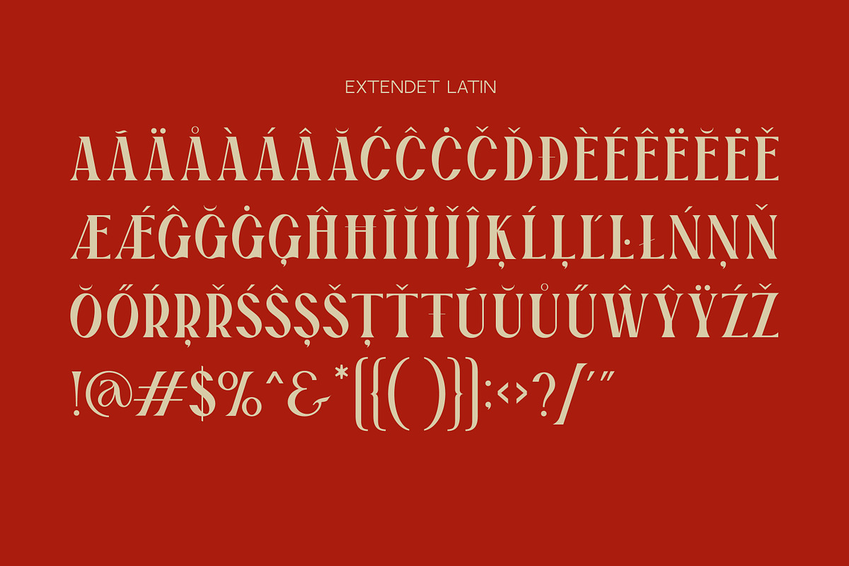 Boldness font / display serif font, a Serif Font by LETTER V studio (Photo 4 of 8)