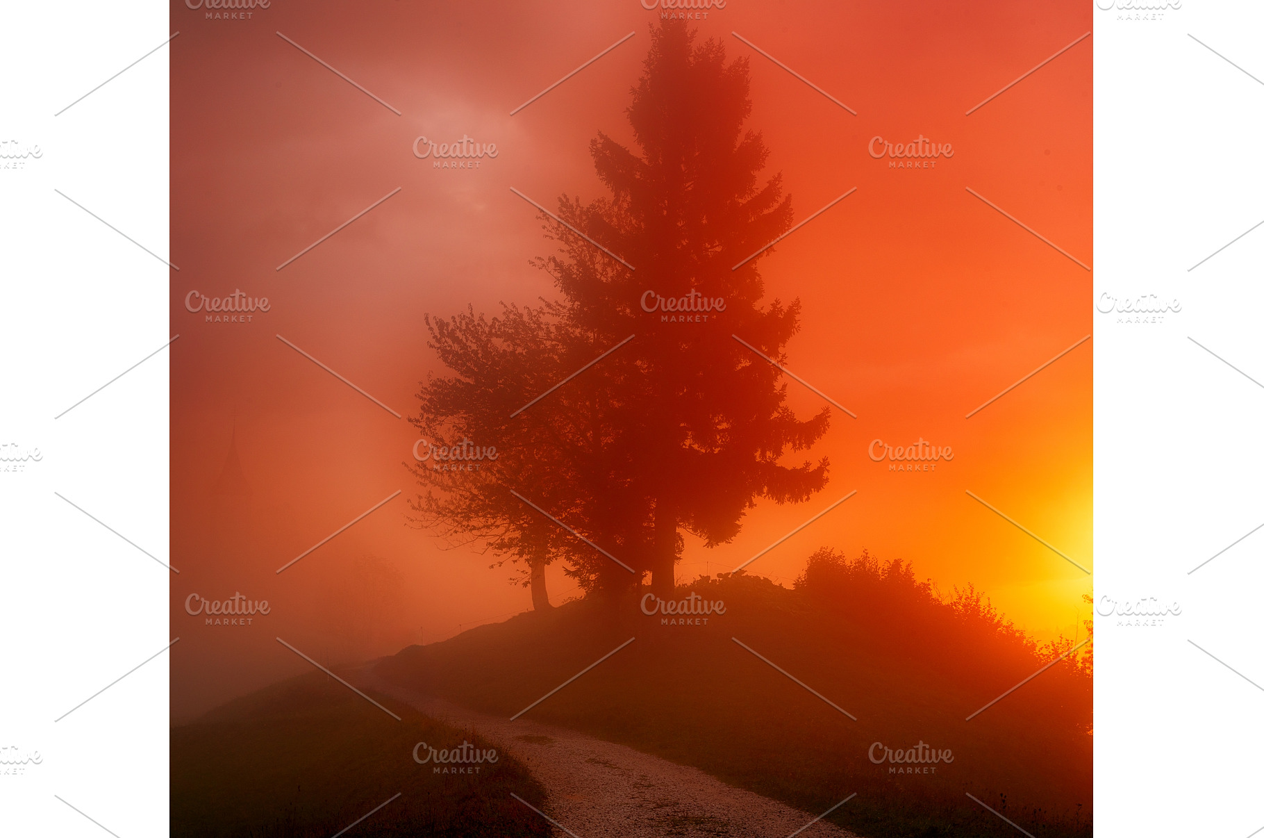 Beautiful autumn landscape with, a Nature Photo by Nature and travel