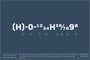 Rigid Square, a Sans Serif Font by Dharma Type (Thumbnail 3 of 10)