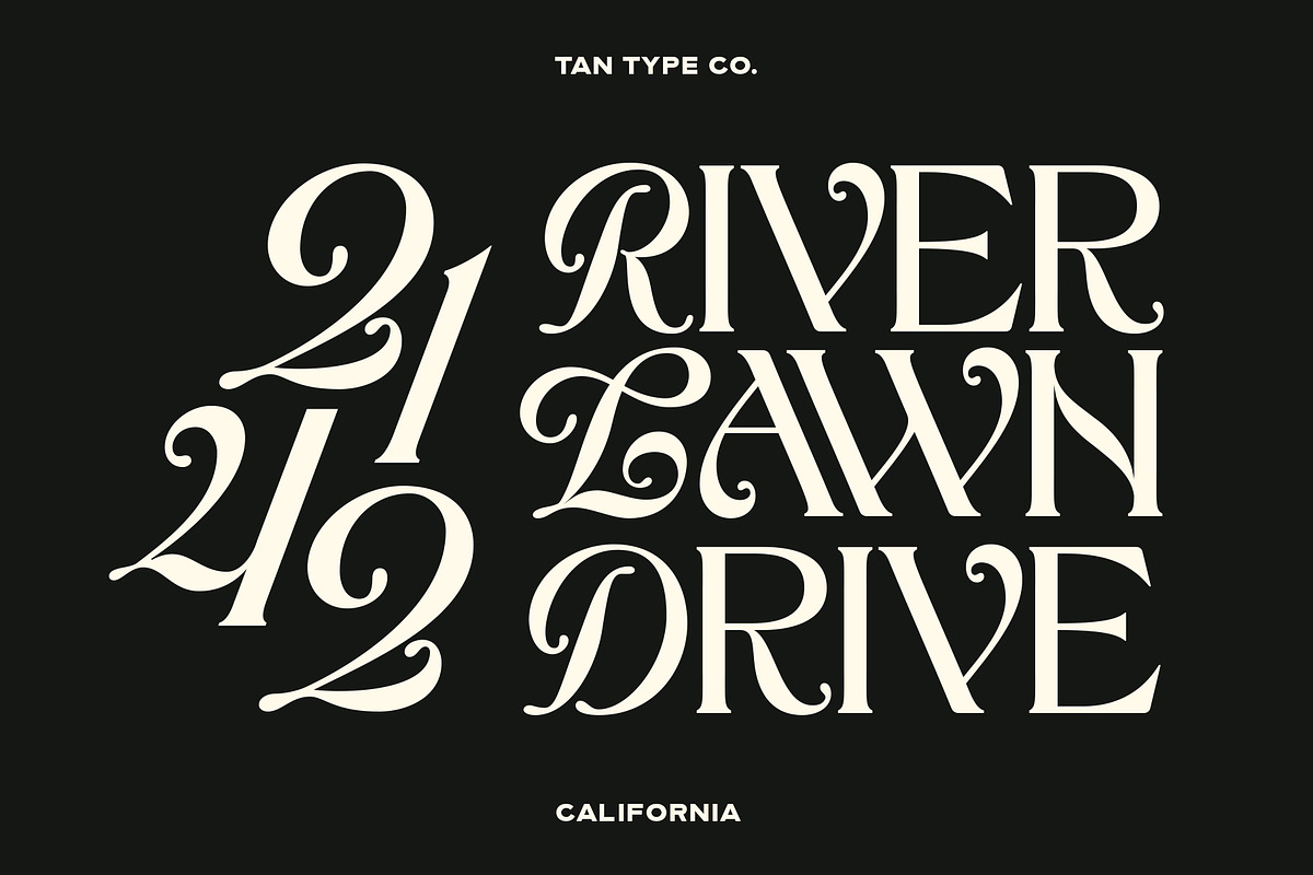 TAN - CALIFORNIA, a Serif Font by TanType (Photo 7 of 16)