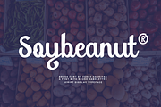 Soybeanut, a Script Font by FHFont (Thumbnail 1 of 10)