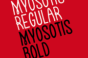 Myosotis, a Handwritten Font by La Boite Graphique (Thumbnail 3 of 4)