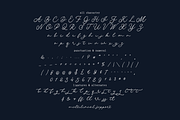 Valienta Script | An Elegant Script, a Script Font by Colllab Studio (Thumbnail 4 of 12)