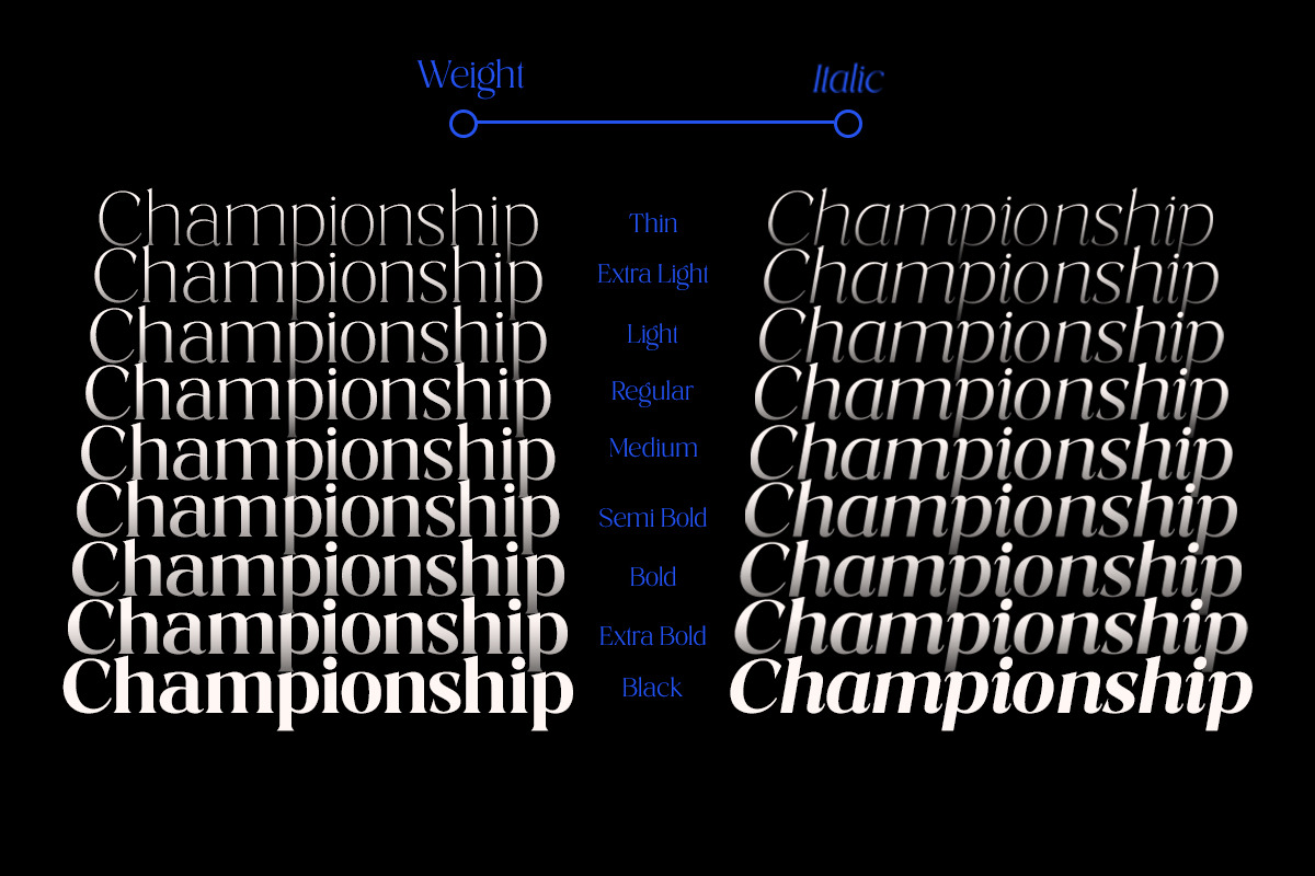 Costaline Font Family| Sale 40%, a Serif Font by Megatype (Photo 6 of 15)