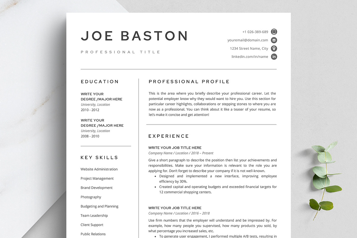 Professional Resume Template, a Resume Template by TheStandOutResume (Photo 1 of 10)