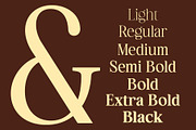 Hagios - Serif Family, a Serif Font by Novitype (Thumbnail 5 of 15)