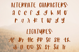 Harvest Wishes Cozy Marker Font