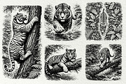Jungle Tiger SVG Graphics, an Animal Illustration by DENIDigitalArtSudio (Thumbnail 5 of 8)