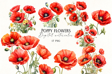 Poppy flowers, a Decorative Illustration by Vasmila