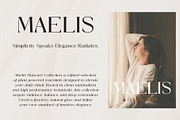Mervola - Minimalist Serif Font, a Serif Font by GridlineType (Thumbnail 3 of 10)