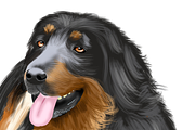 Dog Illustrations - Hand painted, an Animal Illustration by Papaya (Thumbnail 7 of 7)