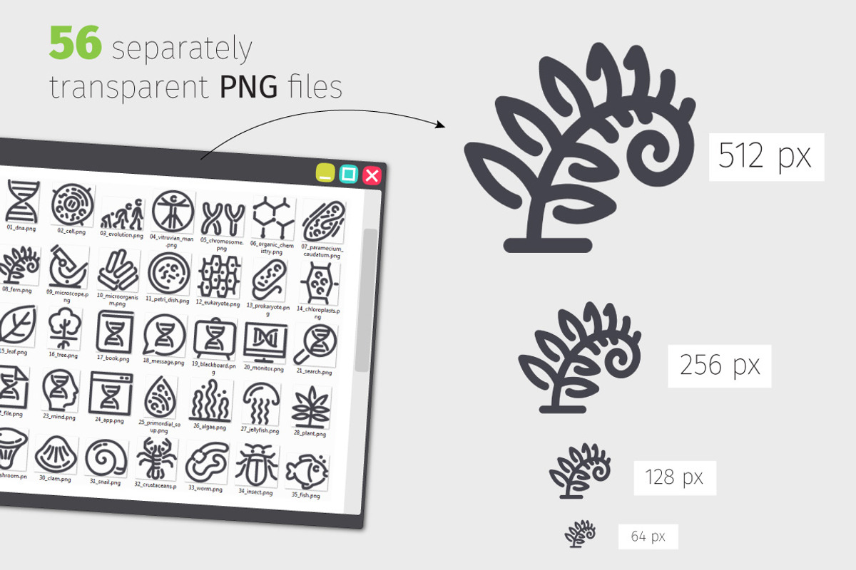 Biology Line Icons Set, an Outline Icon by Voysla's Shop (Photo 3 of 4)