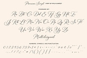 Parisian Vintage Calligraphy Script, a Script Font by Mila Garret (Thumbnail 9 of 13)